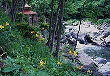 嘉相滝とニッコウキスゲの写真