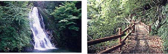 県立自然公園　行司ヶ滝遊歩道の写真