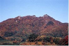 鎌倉岳の紅葉の写真