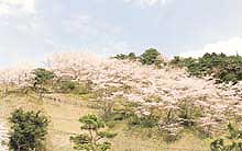 茶臼山公園の写真