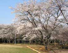 棚倉町 赤館公園