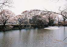 棚倉町 亀ヶ城公園