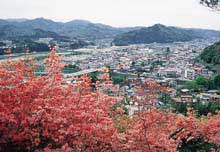 風呂山公園のつつじの写真