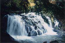 江竜田の滝の写真