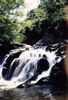 山鶏滝の写真