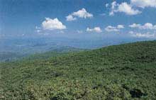 川内村 県立自然公園　高塚山