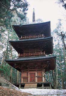 隠津島神社三重塔の写真